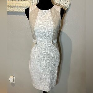 Ellen Tracy shift dress